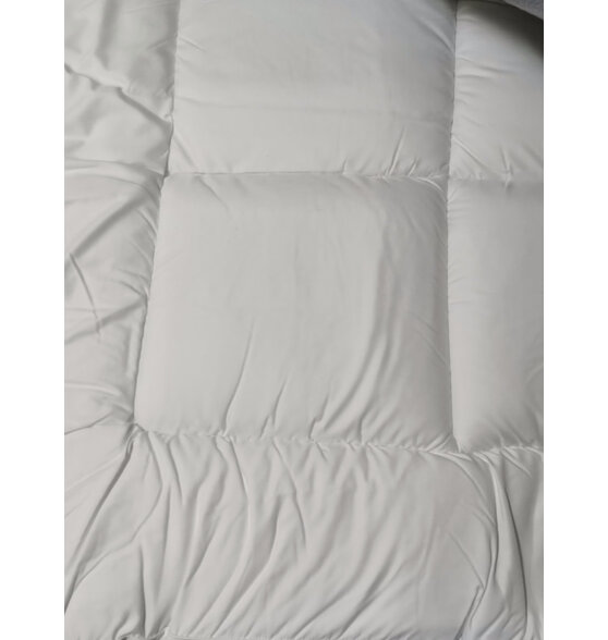 LOVO罗莱生活 床垫床褥子加厚软垫子垫被榻榻米学生宿舍1.5米