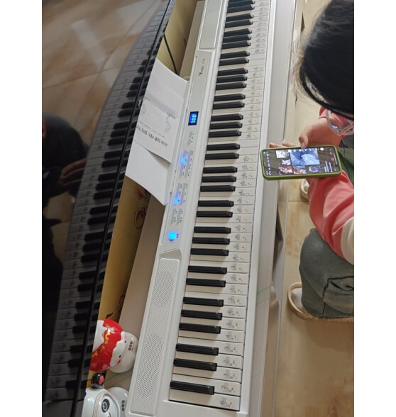卢森（Rosen）P11电子琴成人88键儿童初学者入门折叠电钢琴乐器 -88键白色 套餐四：标配+Z型琴架+加厚琴包