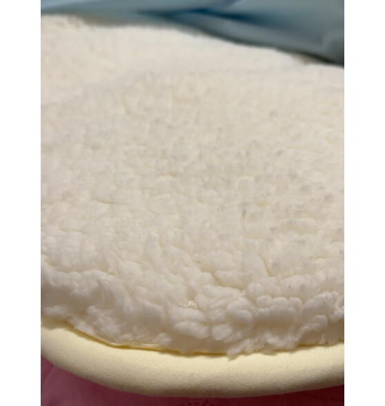 多喜爱床垫  加厚羊羔暖绒冬季床垫子 双人榻榻米防滑软垫 200*180cm