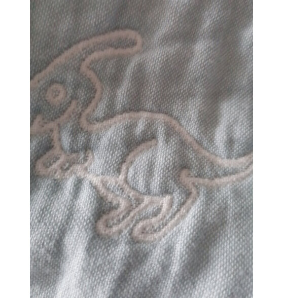 恒源祥六层纱布毛巾被纯棉毯子夏凉被婴儿儿童夏季薄款午睡盖毯空调被子 彩云蓝（三层） 85*100cm