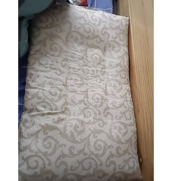 语桐家纺 枕头芯枕头单人枕头 护颈枕学生枕 睡眠枕 单只装 单只装