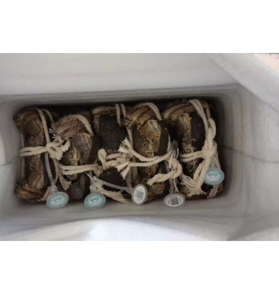 阳澄佳缘大闸蟹 现货鲜活大螃蟹  海鲜水产生鲜礼盒 公4.5-4.8两母3.5-3.8两4对8只