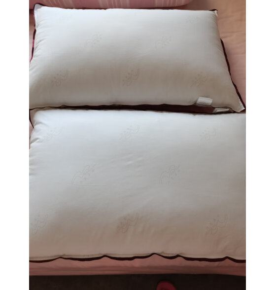 水星家纺枕头芯颈椎枕舒适枕五星级酒店枕芯一对装纯棉抗菌对枕74*48cm