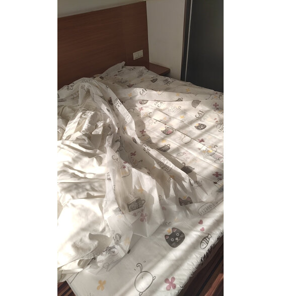 加加林（JAJALIN）旅行就是加加林一次性床单被罩被套枕套加厚四件套隔脏印花睡袋 加大-印花双人四件套