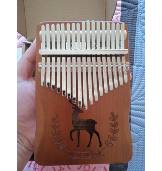 vbh卡林巴拇指琴21音单板初学者手指琴小乐器生日礼物 
值得买吗？是哪里生产的？