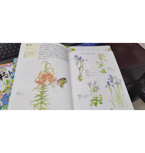 包邮 我家门外的自然课（修订版 全4册） 南妍汀  自然图鉴手册 给中小学生的自然科普  中信出版社图书
