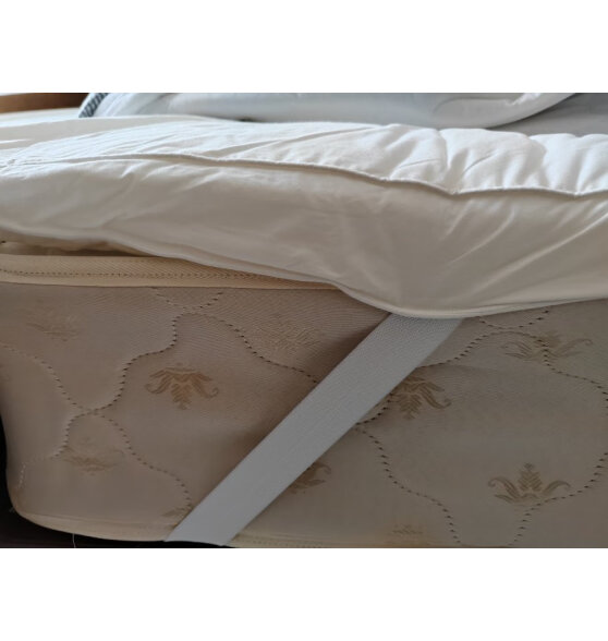 拉芙菲尔五星级酒店床垫学生宿舍床垫子双人床褥防滑保护垫加厚折叠褥子
