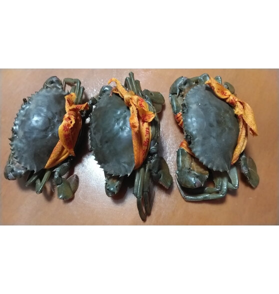 江食代 三门青蟹 鲜活大红母膏蟹（5-6两/只）5只 螃蟹红鲟生鲜水产送礼盒装