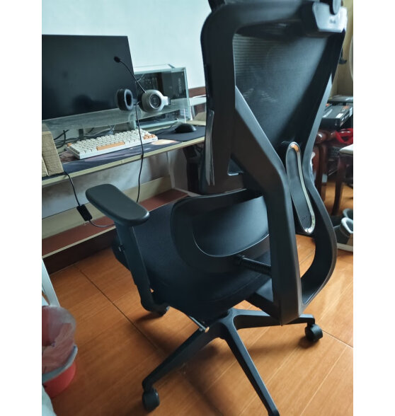 黑白调（Hbada）P5双背款 人体工学椅电脑椅子办公椅学习人工力学椅电竞椅高配