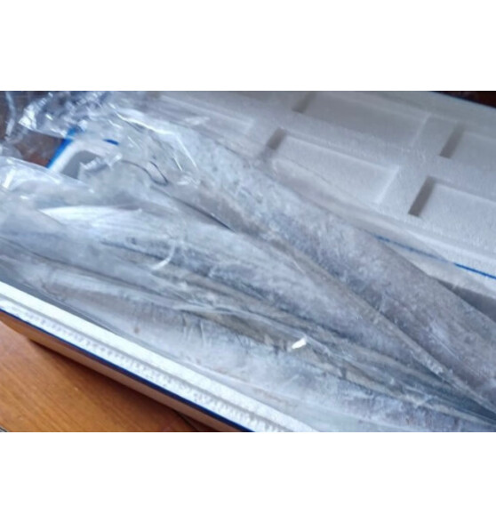 冰凌橙夏带鱼新鲜特级海钓大带鱼整条鲜冻宽带鱼刀鱼整箱海鲜水产生鲜鱼类 海钓带鱼5斤（0.7-1斤/条）