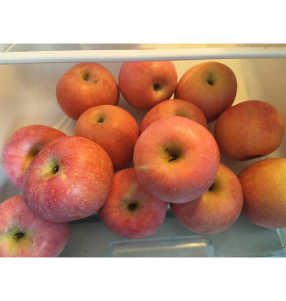 安和山陕西延安洛川红富士苹果新鲜水果脆甜应季水果时令生鲜 85-90mm带箱10斤（净重8.8斤）