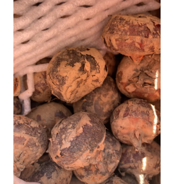 美香农场广西桂林荸荠马蹄  生鲜蔬菜 整箱10斤装 净重9斤