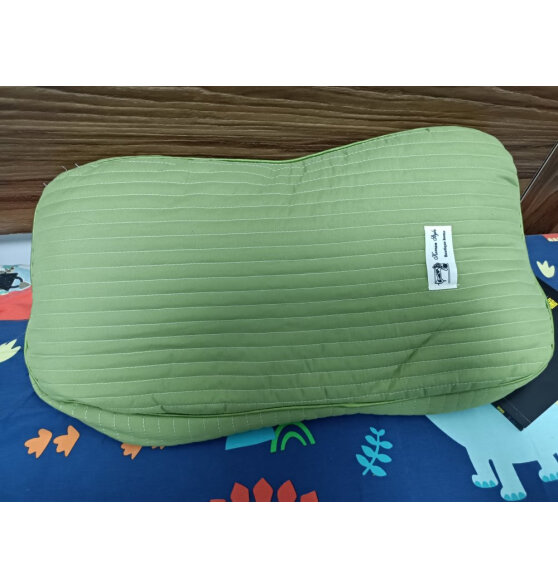 九洲鹿荞麦枕头颈椎枕 成人学生枕头舒适睡眠枕芯荞麦皮枕头 单只