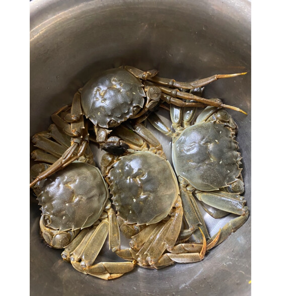 阳澄佳缘大闸蟹 现货鲜活大螃蟹  海鲜水产生鲜礼盒 公4.0-4.3两母3.0-3.3两5对10只