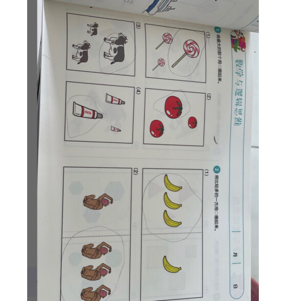 4-5岁 七田真全脑开发练习册：数学与逻辑思维+专注力与记忆力 （6册中套）
