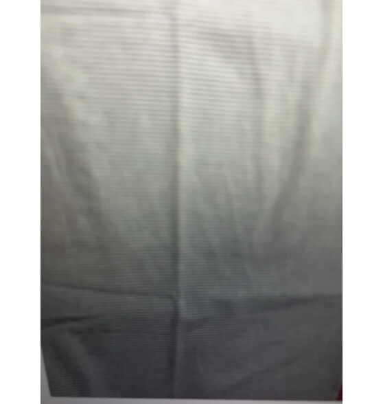 洁丽雅（Grace）纯棉枕套水洗简约风枕头套一对单人枕套48×74cm 蓝细纹