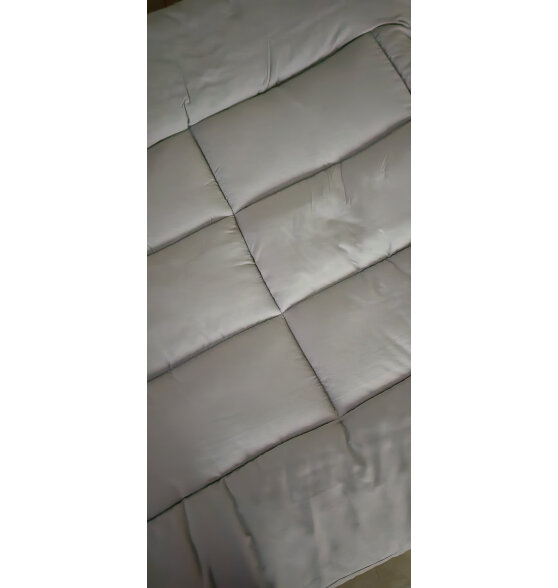 艾薇（AVIVI）抗菌床垫宿舍单人床垫薄床垫榻榻米床垫子褥子床垫1.2x2米 简约灰
