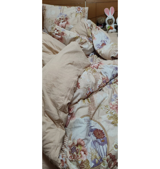 富安娜家纺 床上四件套纯棉磨毛秋冬床上用品加厚保暖床单被套 韶华 1.8米床 (被套230*229cm)