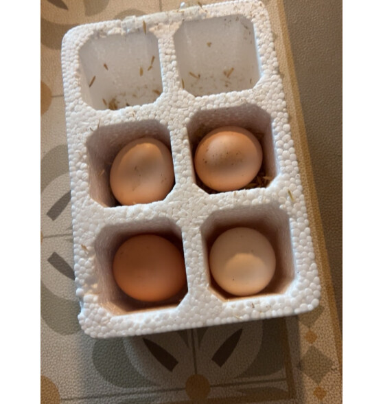 我老家新鲜谷物蛋 农家散养柴鸡蛋 生鲜单枚40±2g 4枚 152g