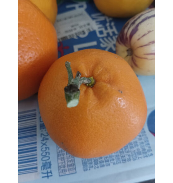 沃多鲜丑橘不知火 四川橘子头茬鲜果产地直发 净重4.5斤+大果（单果70mm+）