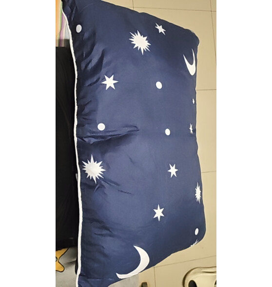 维尔美枕头学生单人一只装枕芯送枕套宿舍新品卡通可爱男女孩青少年 1枕芯+1枕套