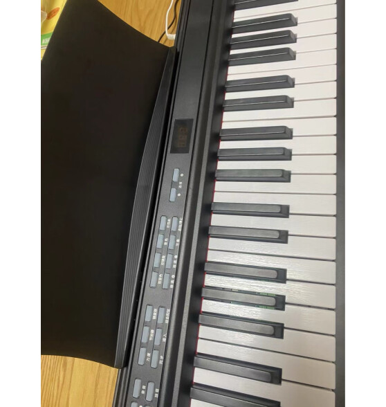 卢森（Rosen）P11电子琴成人88键儿童初学者入门折叠电钢琴乐器 -88键黑色 套餐三：标配+Z型琴架