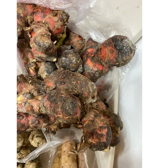 沃鲜谷广东潮汕南姜 野山姜 高良姜  新鲜蔬菜 5安全好用吗?