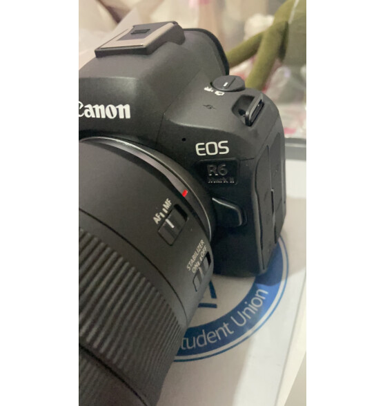 佳能（Canon） EOS R6 Mark II R
好用吗？细节对比区别评测？