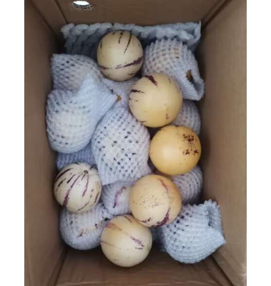 探味君 云南人参果 石林七彩圆果新鲜水果生鲜 9斤小果【单果30~60g】