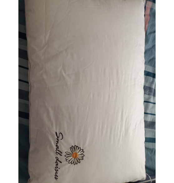 博洋（BEYOND）博洋家纺全棉枕头可水洗单人纯棉软枕芯中枕 单只装48*74cm