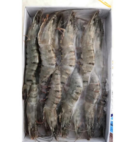 弹指鲜生 活冻黑虎虾冷冻草虾大虾生鲜虾类 14-20只 400g*3盒