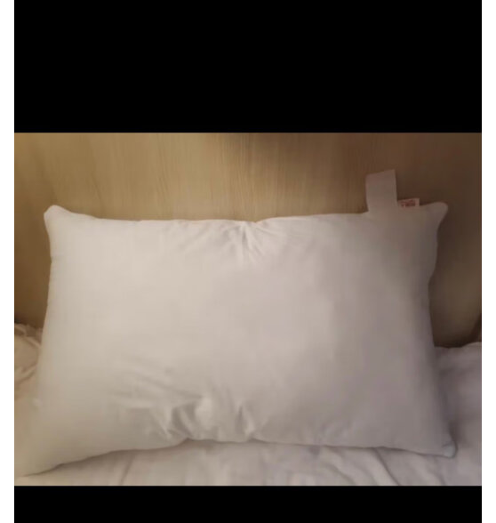 南极人抗菌抑菌枕芯枕头一对装 2只装 星级酒店颈椎枕 成人安睡枕头芯