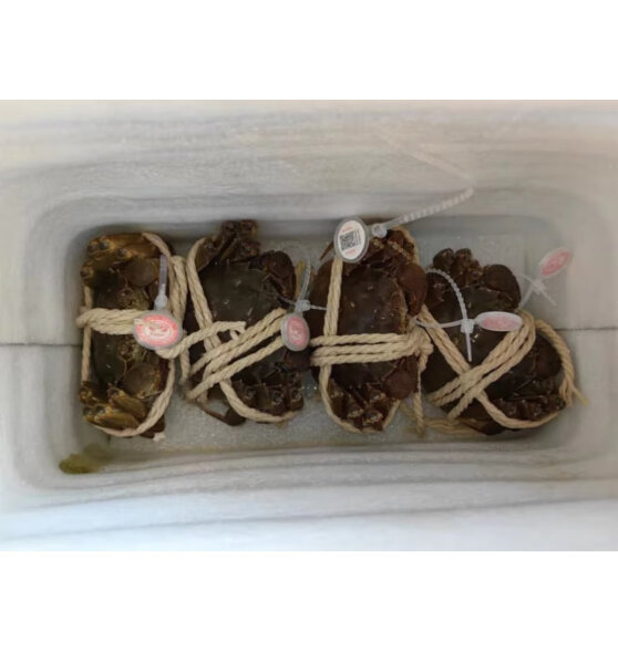 阳澄佳缘大闸蟹 现货鲜活大螃蟹  海鲜水产生鲜礼盒 公4.0-4.3两母3.0-3.3两5对10只