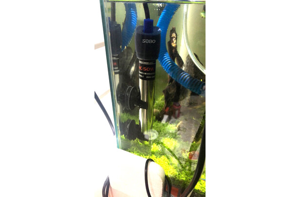 松宝鱼缸加热棒怎么样属于什么档次哪里生的