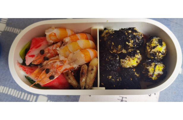 Bruno保温饭盒加热饭盒电热饭盒怎么样 真相曝光测评 陈繁亮的博客