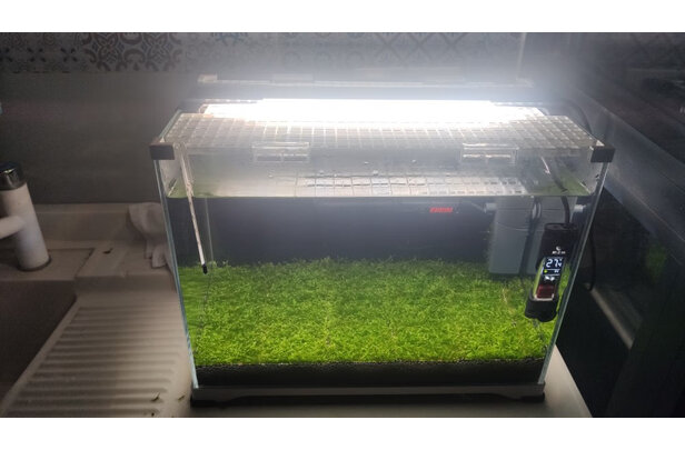 伊罕鱼缸加热棒摆放示意图