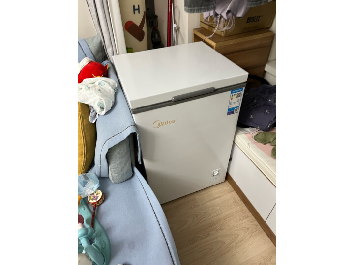 美的（Midea）冰柜家用迷你冷柜冷藏冷冻保鲜小冰柜节能省电囤货家用冰柜BD/BC-101KM(E）