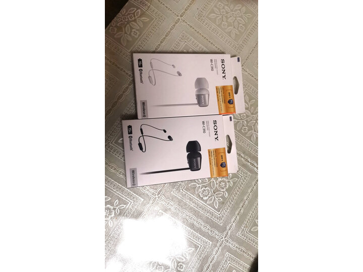 实情曝光索尼wic310和300哪款好一些?有啥区别?真相吐槽内情