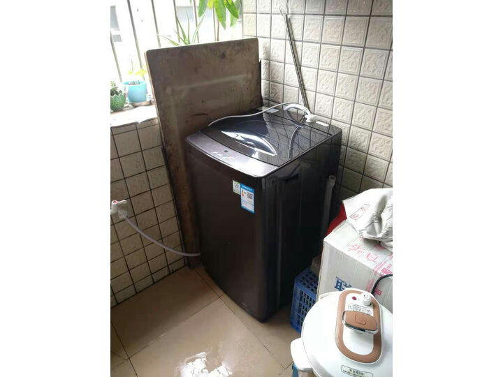 神吐槽威力xqb801999怎样内幕剖析实情