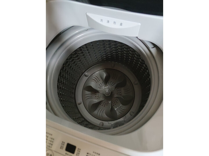 威力（WEILI）12公斤波轮洗衣机全自动大容量家用 量衣判水 一键桶风干 13分钟速洗XQB120-1699X
