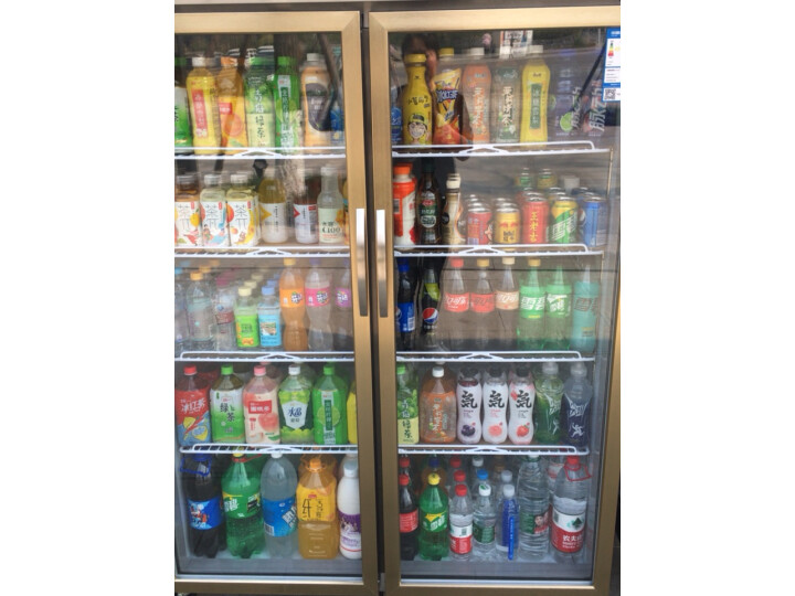 澳柯玛（AUCMA）商用不锈钢厨房冰箱 水果蔬菜立式保鲜展示柜 大容量冷藏保温冰柜饮料柜  VC-880D