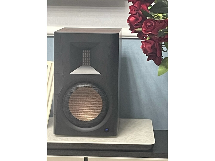 惠威（HiVi）D300有源HIFI音响 多媒体无线蓝牙5.0书架箱 电脑电视家用桌面音箱 等磁场带式高音喇叭