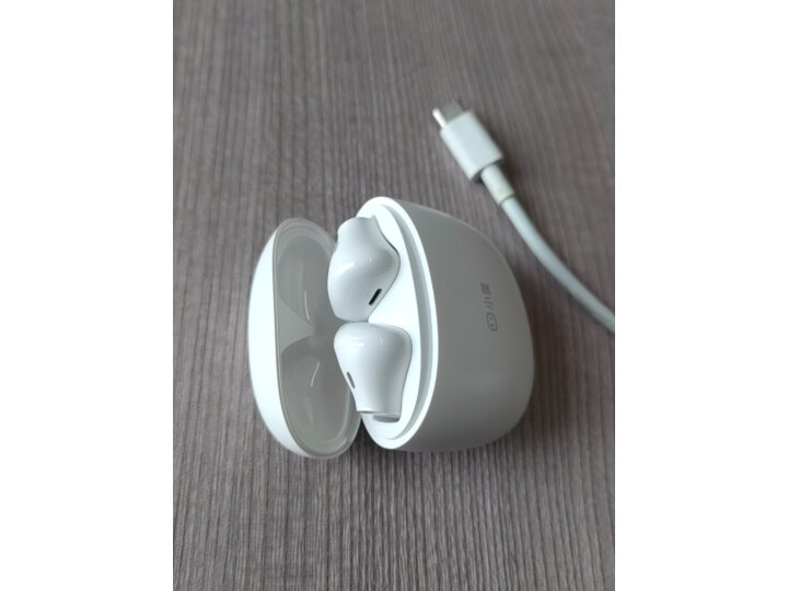 小度真无线智能耳机 S1 蓝牙耳机 半入耳式耳机 音乐耳机 通用苹果华为小米手机  白浪夏夏 