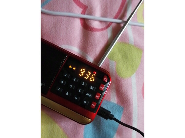 先科（SAST）V30红 收音机老人老年人充电插卡迷你小音箱便携式随身听fm调频广播音响音乐播放器