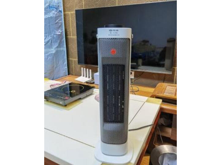 先锋(Singfun)取暖器暖风机电暖器电暖气家用塔式立式暖风机 单核低噪1秒速热DNF-N1