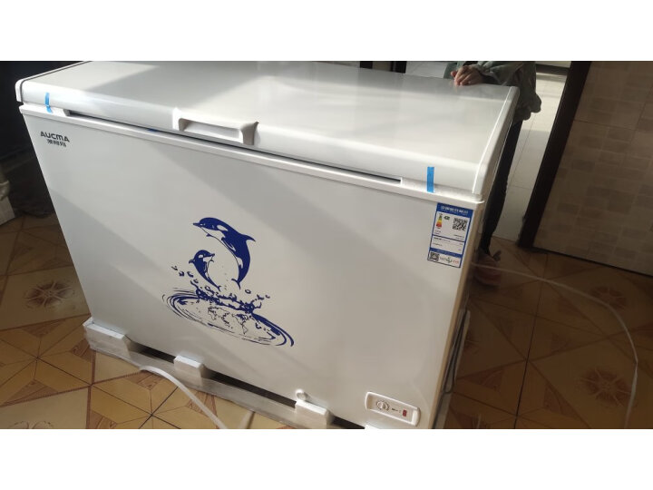 澳柯玛（AUCMA）307升大容量家用商用卧式大冷柜 冷藏冷冻转换柜 低噪节能顶开门冰柜 BC/BD-307HNE