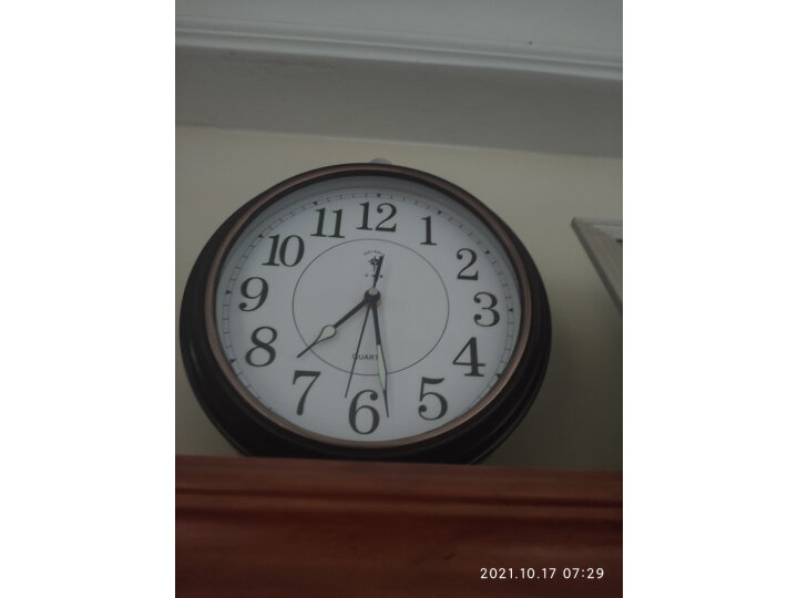 北极星（POLARIS）挂钟 古典欧式座钟表复古静音客厅装饰台钟创意12英寸卧室床头时钟72214夜光款