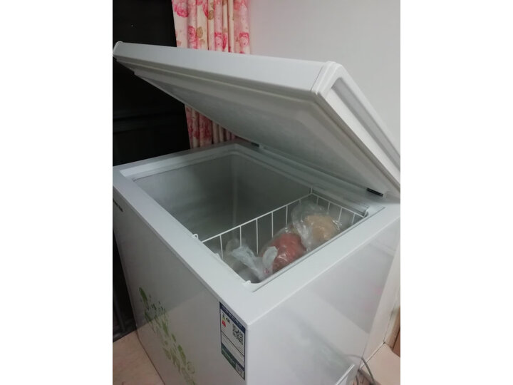 容声(roshe) 145升 冰柜 家用 冷藏冷冻转换 一级能效 小型迷你单温