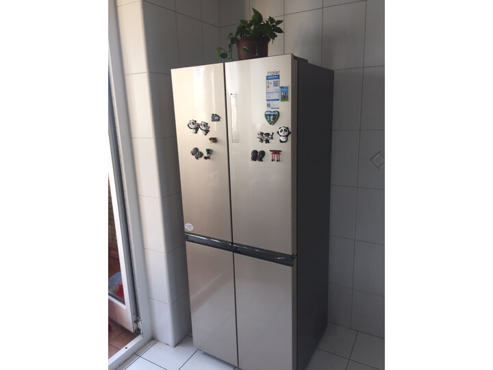 内幕剖析海尔bcd403wdpt和403wdgr哪个好用些有什么区别不想被忽悠看