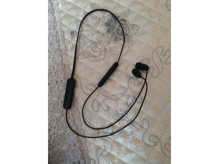 详细解析索尼wic200和wic310区别是什么入手选择索尼wic200和wic310